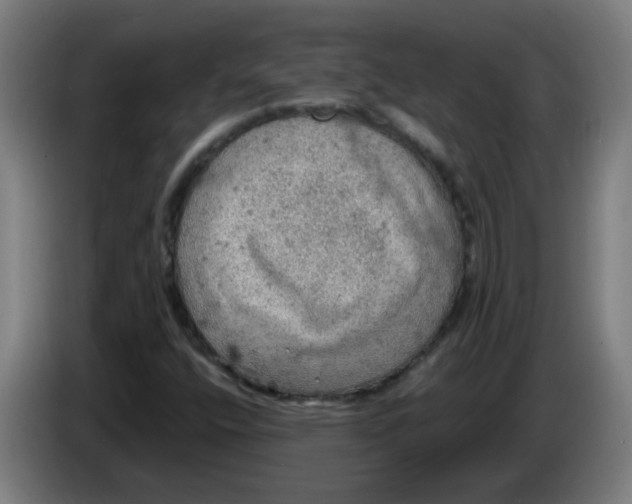 X0000086231400200704261847