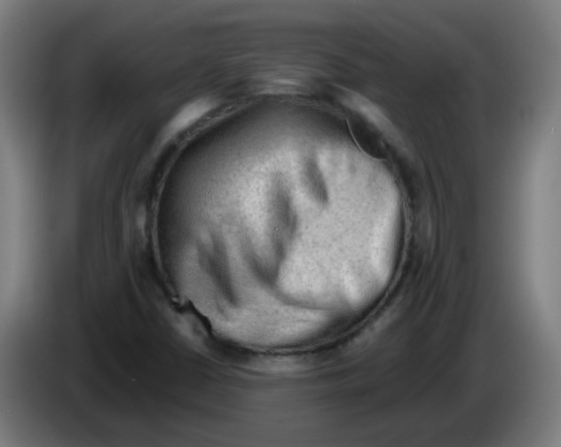 X0000086231402200704261847