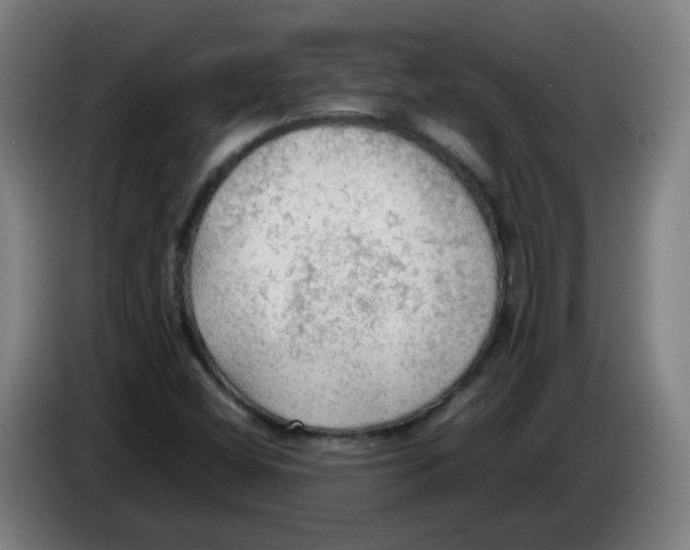 X0000086231404200704261847