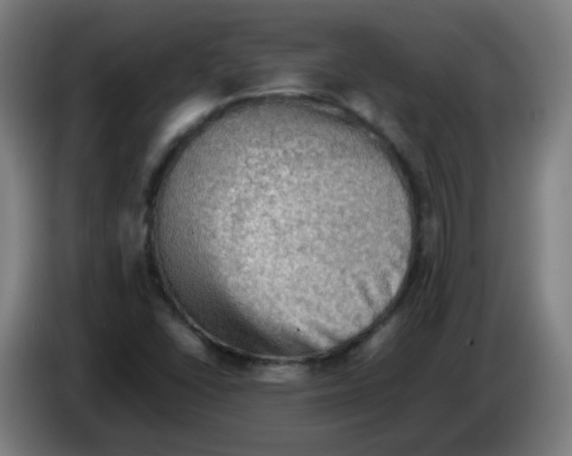 X0000086231406200704261847