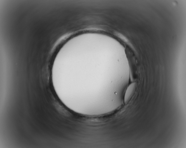 X0000086231408200704261847