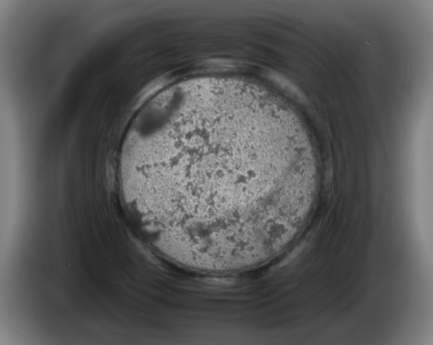 X0000086231409200704261847