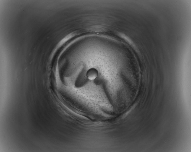 X0000086231410200704261847