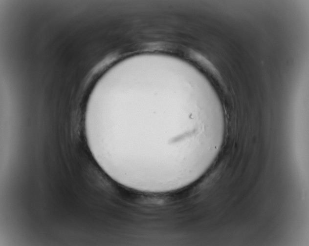 X0000086231411200704261847