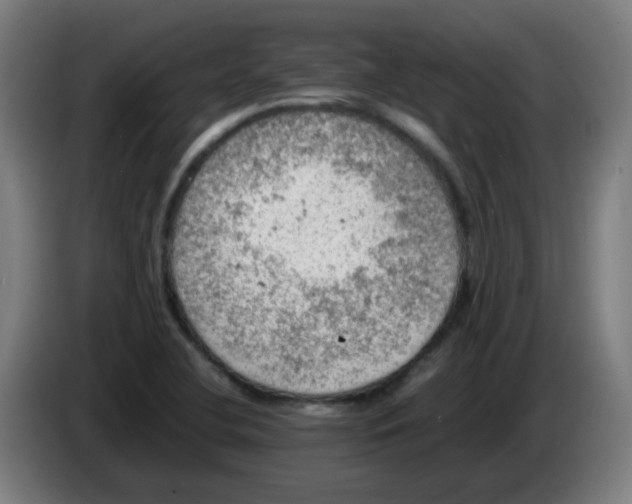 X0000086231412200704261847