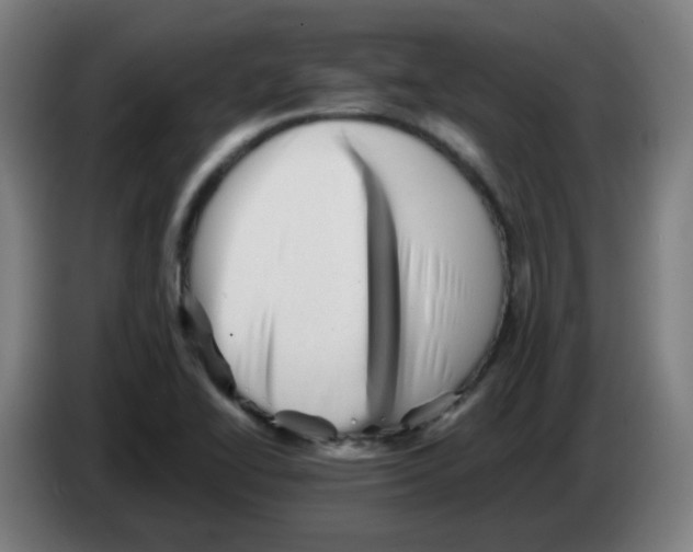 X0000086231414200704261847