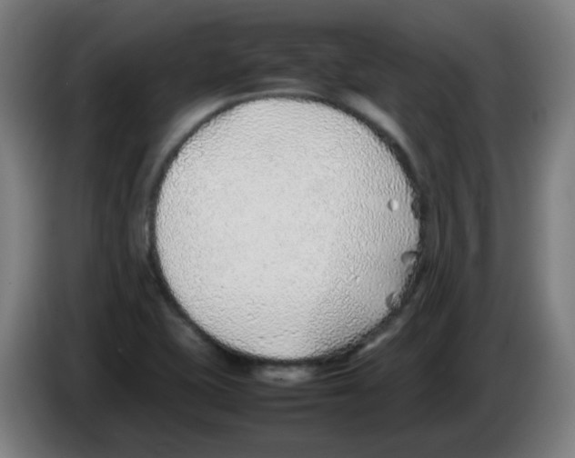 X0000086231415200704261847