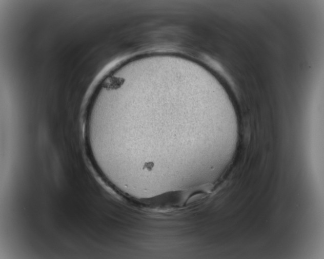 X0000086231416200704261847