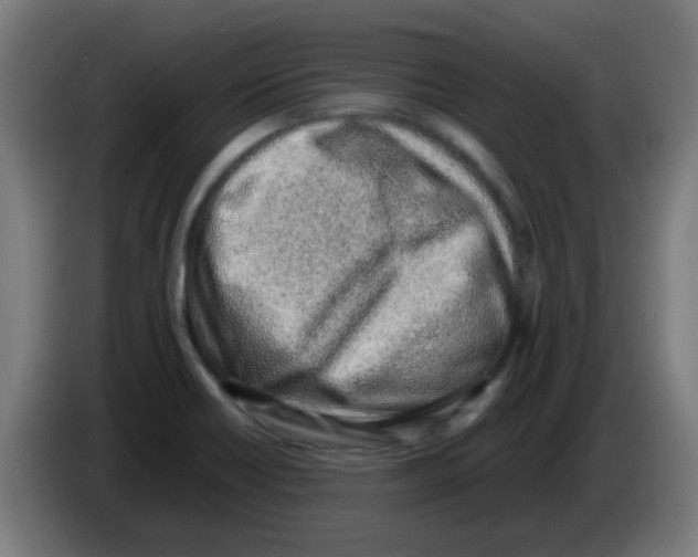 X0000086231418200704261847