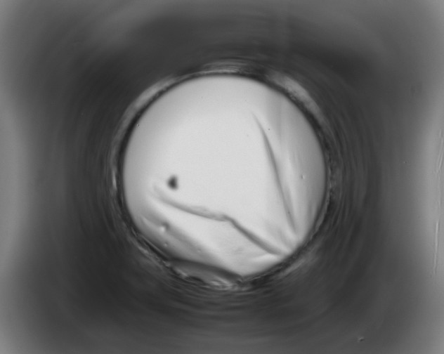 X0000086231419200704261847