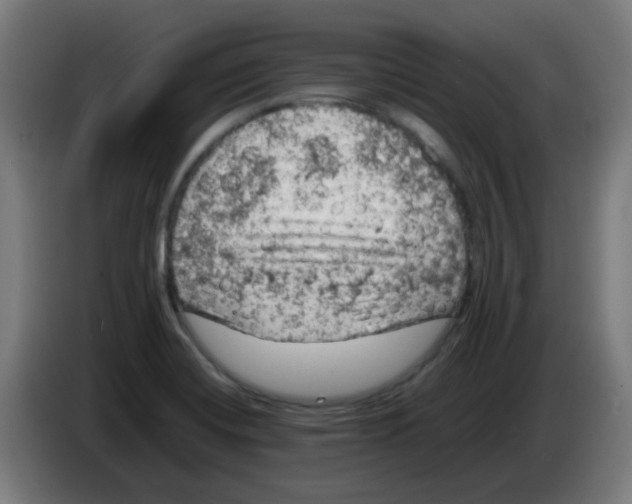 X0000086231420200704261847