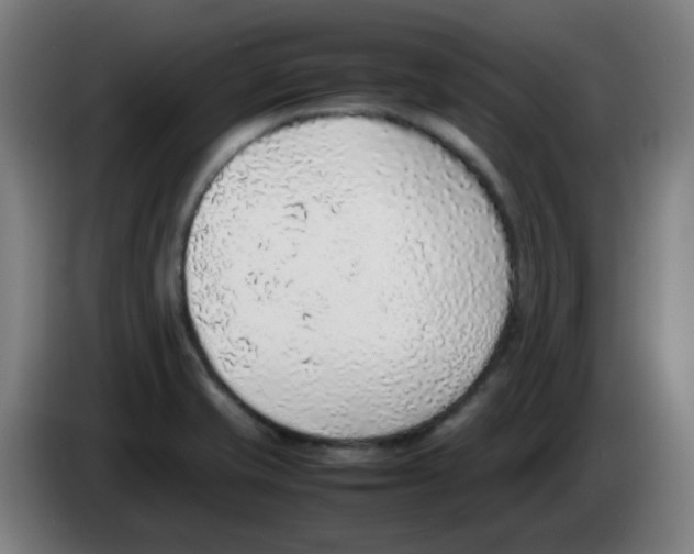 X0000086231421200704261847