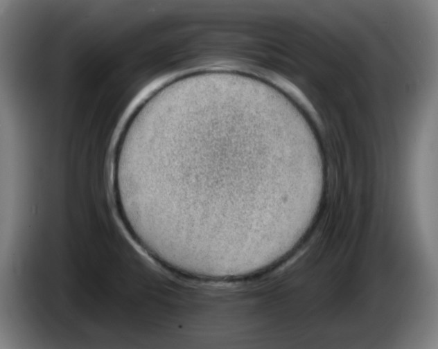 X0000086231424200704261847