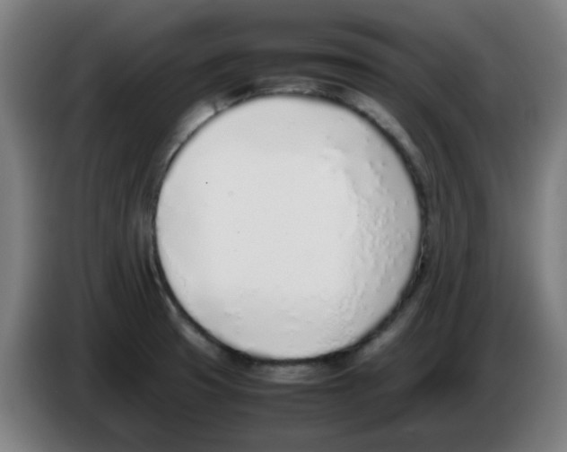 X0000086231425200704261847