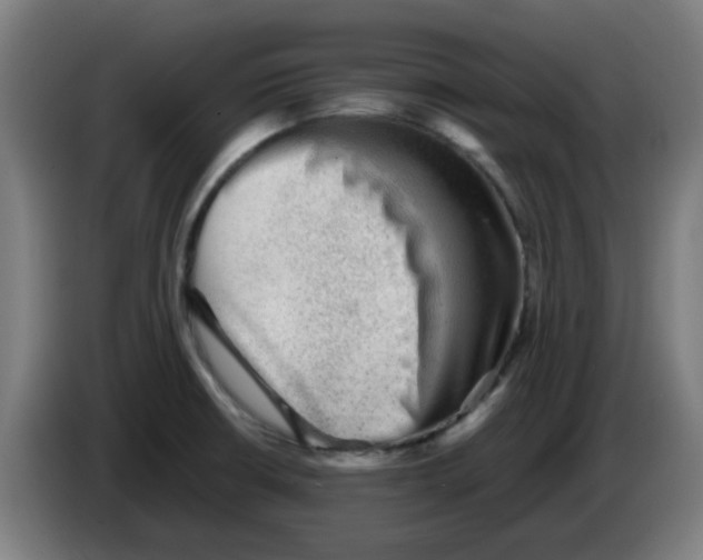 X0000086231426200704261847