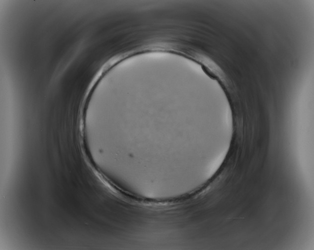 X0000086231428200704261847