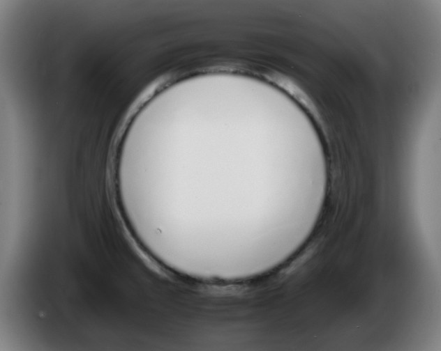 X0000086231429200704261847