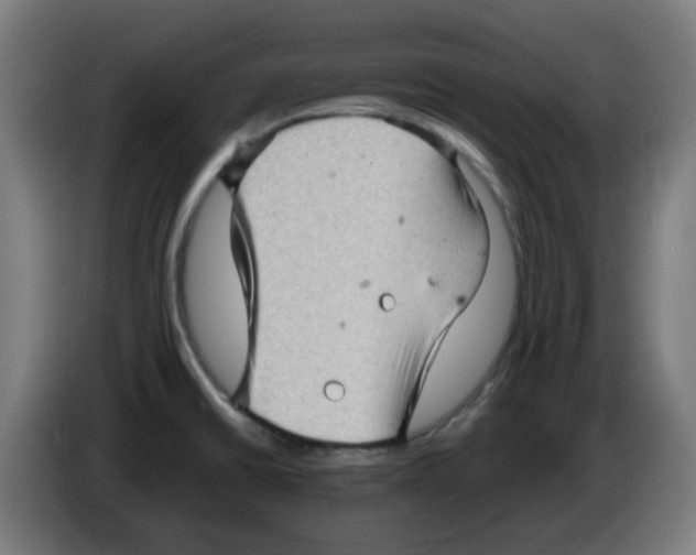 X0000086231430200704261847