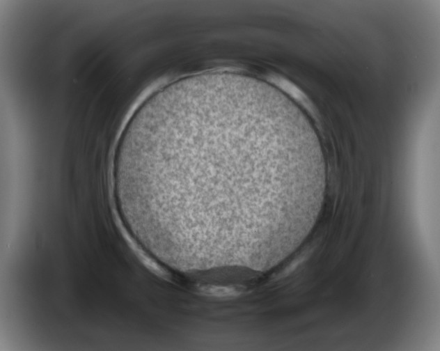 X0000086231431200704261847