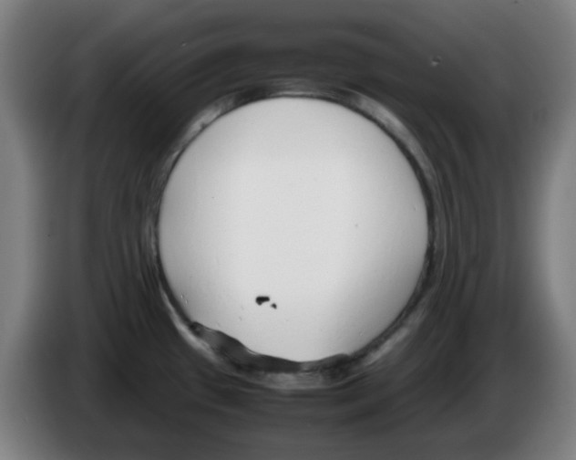 X0000086231433200704261847