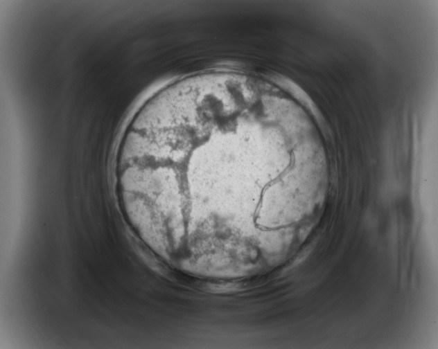 X0000086231435200704261847