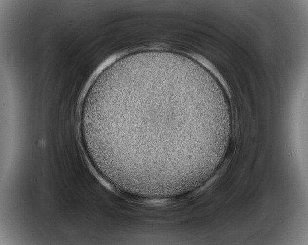 X0000086231437200704261847