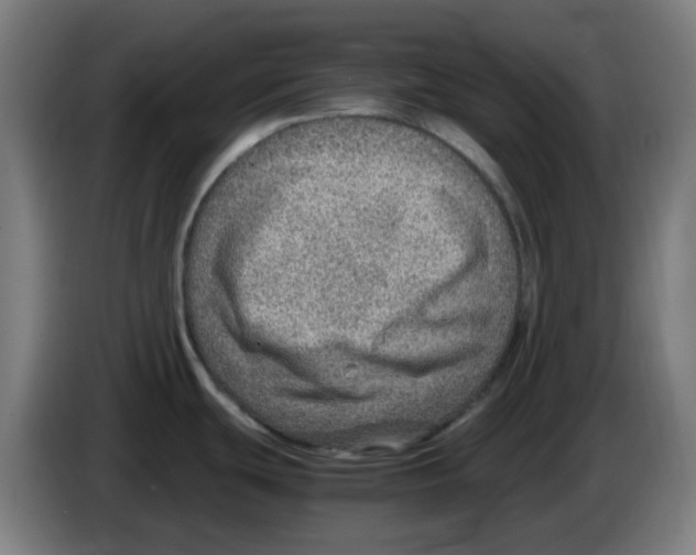 X0000086231439200704261847