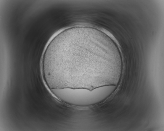 X0000086231440200704261847