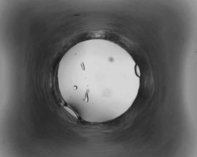 X0000086231442200704261847