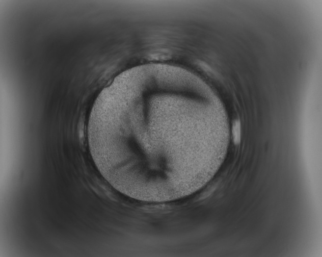 X0000086231444200704261847