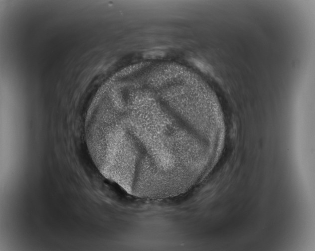 X0000086231445200704261847