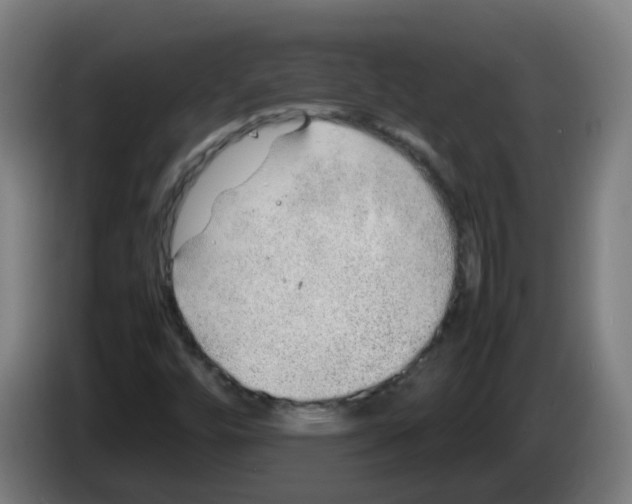 X0000086231448200704261847