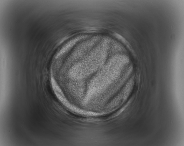 X0000086231449200704261847