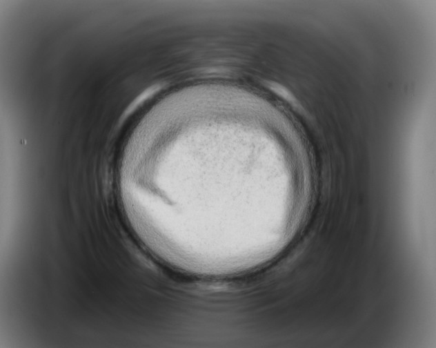 X0000086231450200704261847