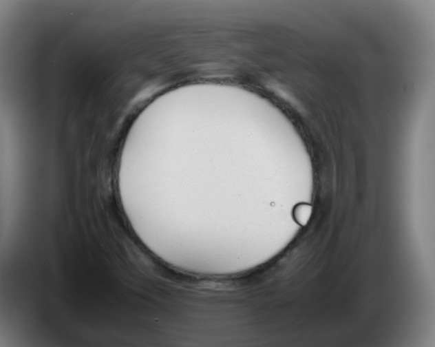 X0000086231451200704261847