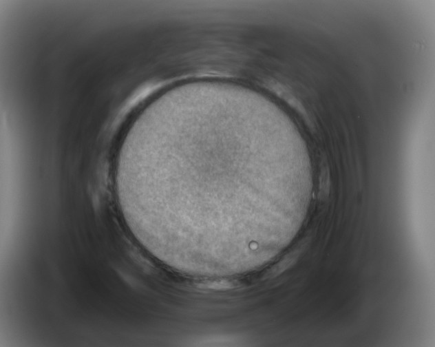 X0000086231454200704261847