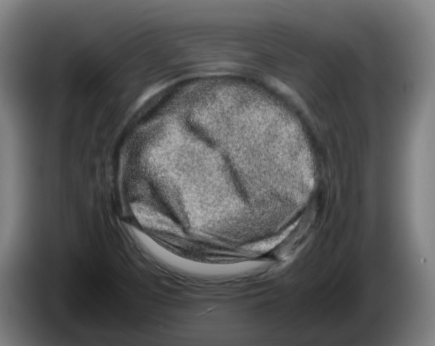 X0000086231457200704261846