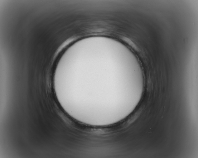 X0000086231458200704261846