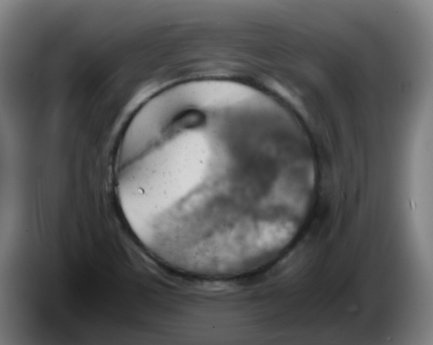 X0000086231459200704261846