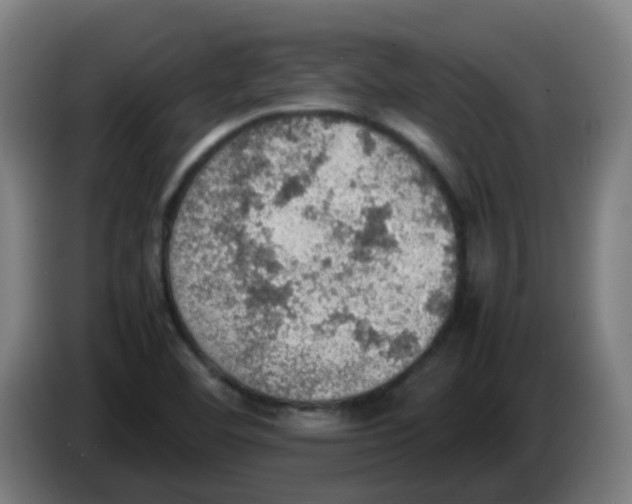 X0000086231460200704261846