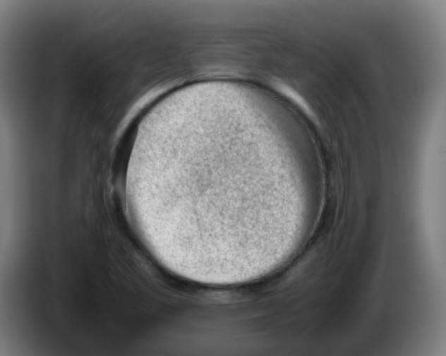 X0000086231461200704261846