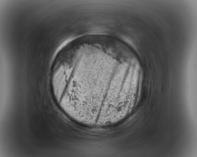 X0000086231463200704261846