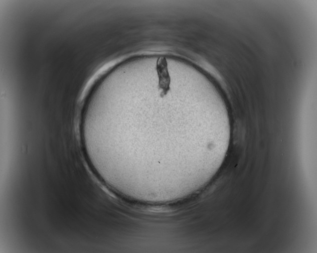 X0000086231464200704261846