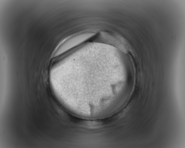 X0000086231465200704261846