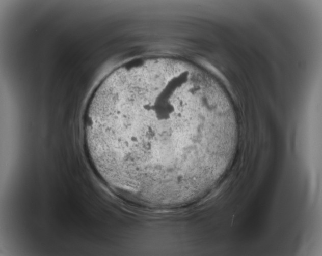 X0000086231467200704261846