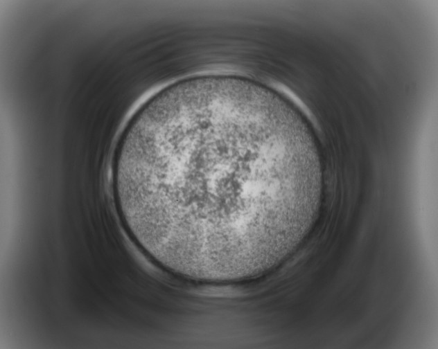 X0000086231468200704261846