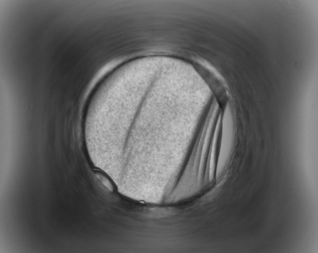 X0000086231469200704261846