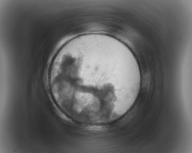 X0000086231470200704261846