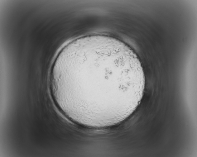 X0000086231471200704261846