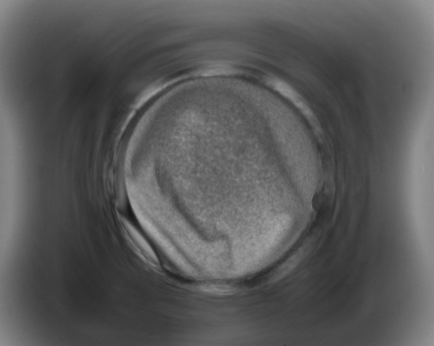 X0000086231473200704261846